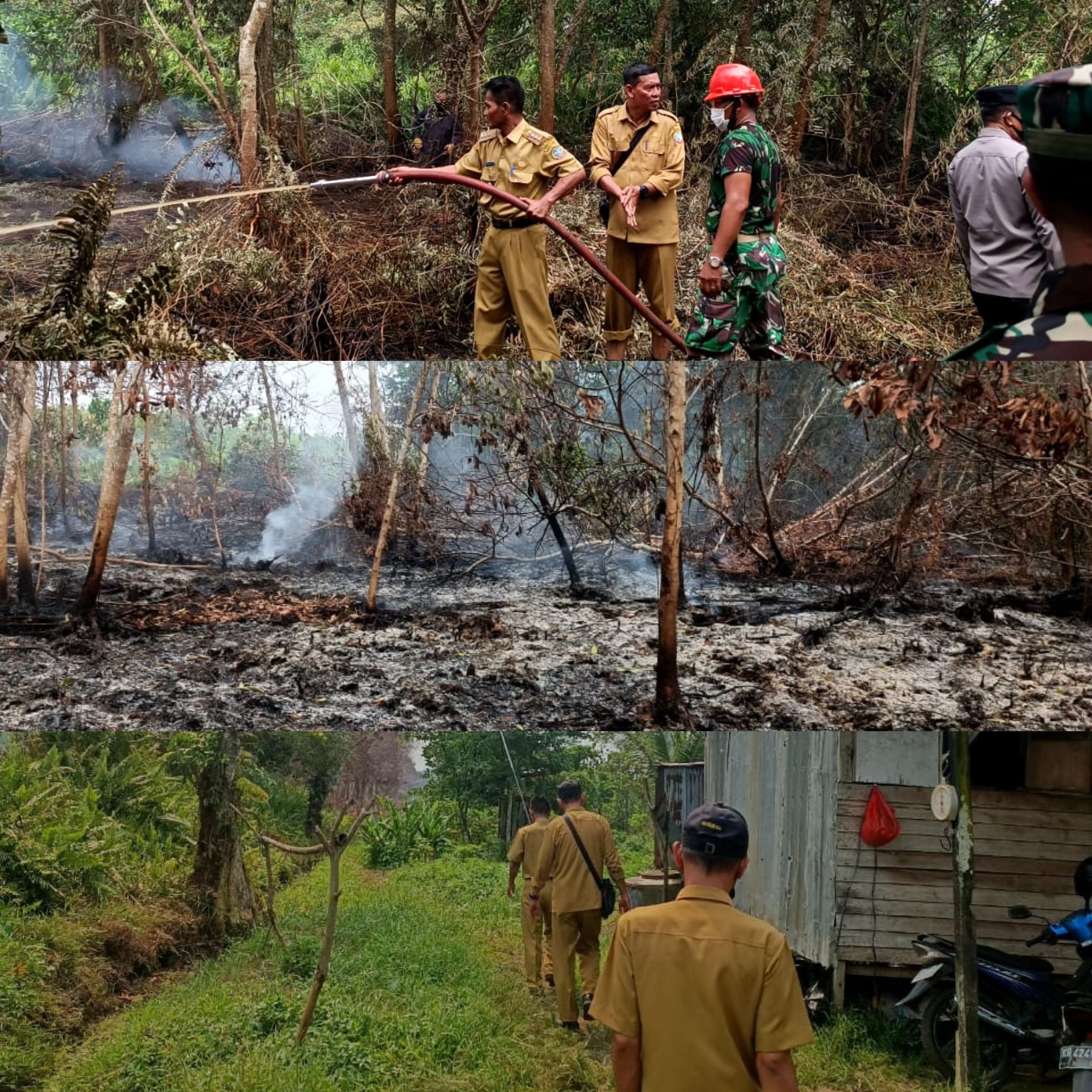 Monitoring Kebakaran Lahan